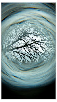 an image of a tree in a water hole